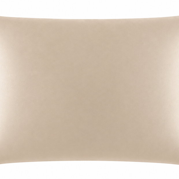 Warm Beige